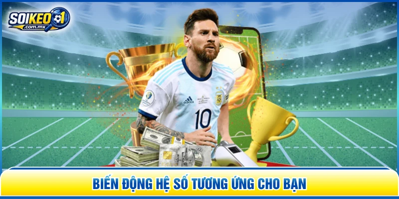 Biến động hệ số tương ứng cho bạn