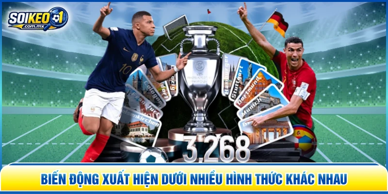 Biến động xuất hiện dưới nhiều hình thức khác nhau