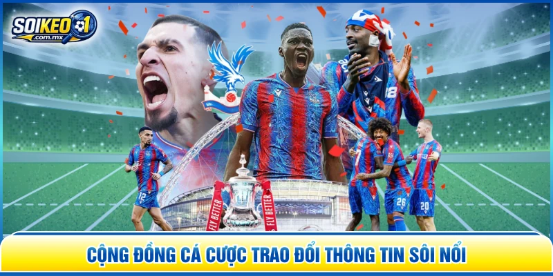 Cộng đồng cá cược trao đổi thông tin sôi nổi