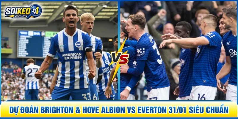 dự đoán Brighton & Hove Albion vs Everton