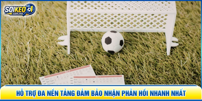 Hỗ trợ đa nền tảng đảm bảo nhận phản hồi nhanh nhất