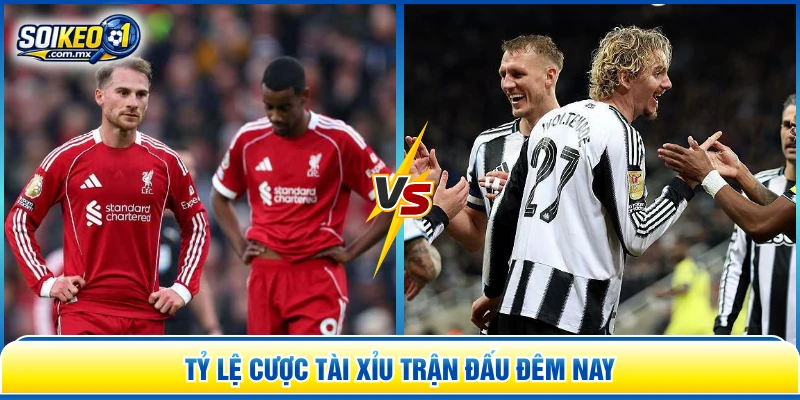 Tỷ lệ cược tài xỉu trận đấu đêm nay